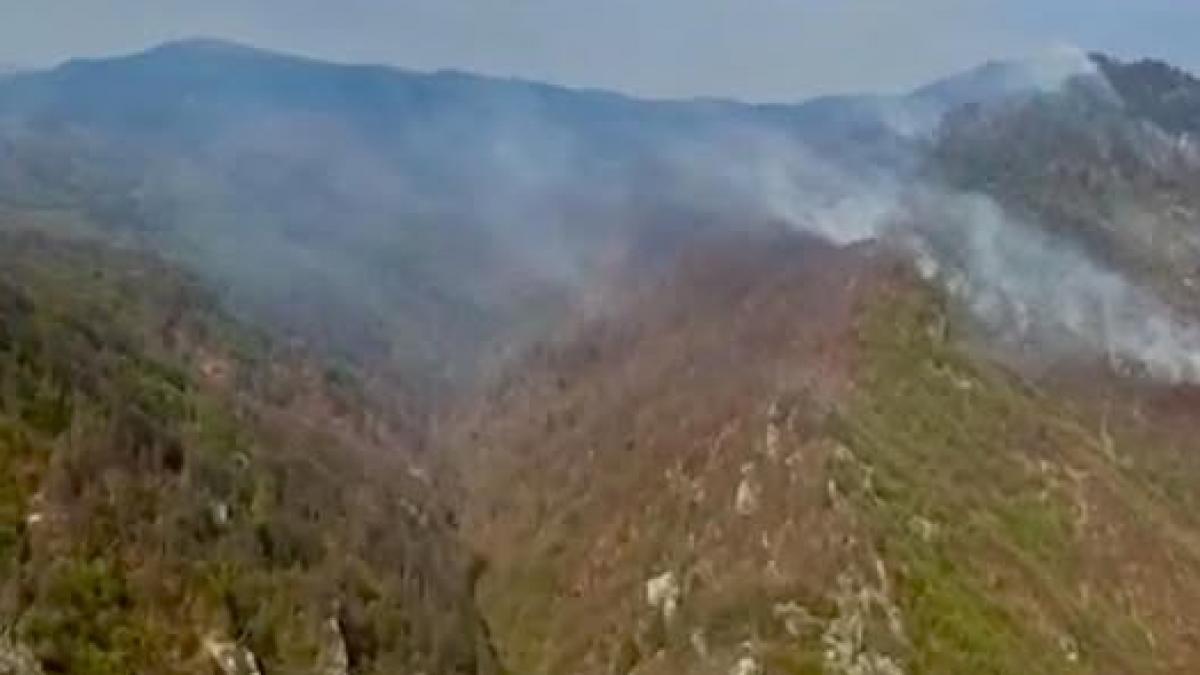 incendiul urias din judetus arges ar fi pornit de la un chistoc flacarile care au distrus 30 de hectare au fost stinse dupa 5 zile