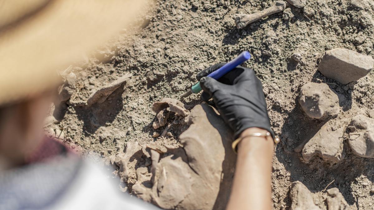 cele sapte mistere ale unui cimitir medieval descoperit langa o pista de aeroport cu cat se cerceteaza mai mult cu atat se adancesc
