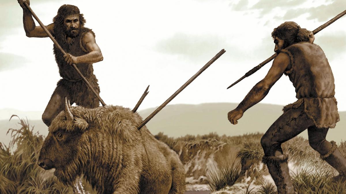 reanalizarea fosilelor de la graunceanu rescrie istoria hominii au fost prezenti in europa acum 1 95 milioane de ani