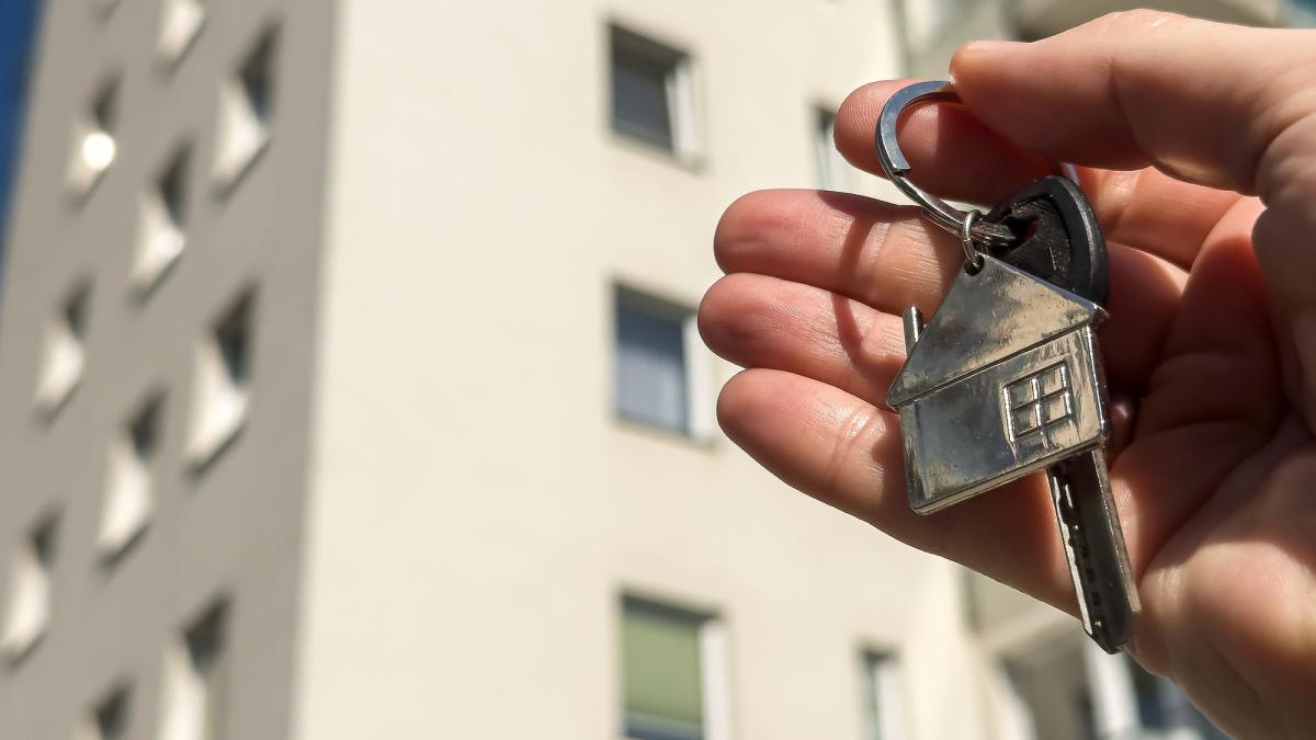 piata imobiliara tot mai aproape de o criza preturile locuintelor ar putea scadea brusc chiar si cu 50 bula se sparge