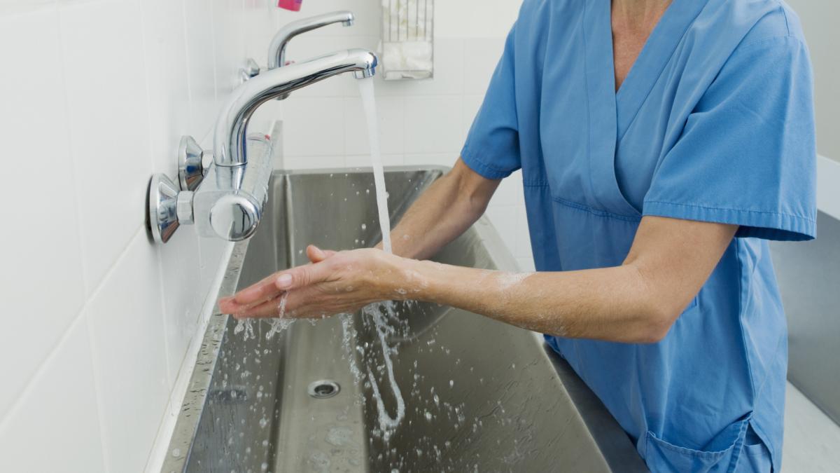 piocianic prezent in apa din reteaua spitalului de pediatrie ploiesti la peste o luna de la depistare toate tevile vor fi schimbate