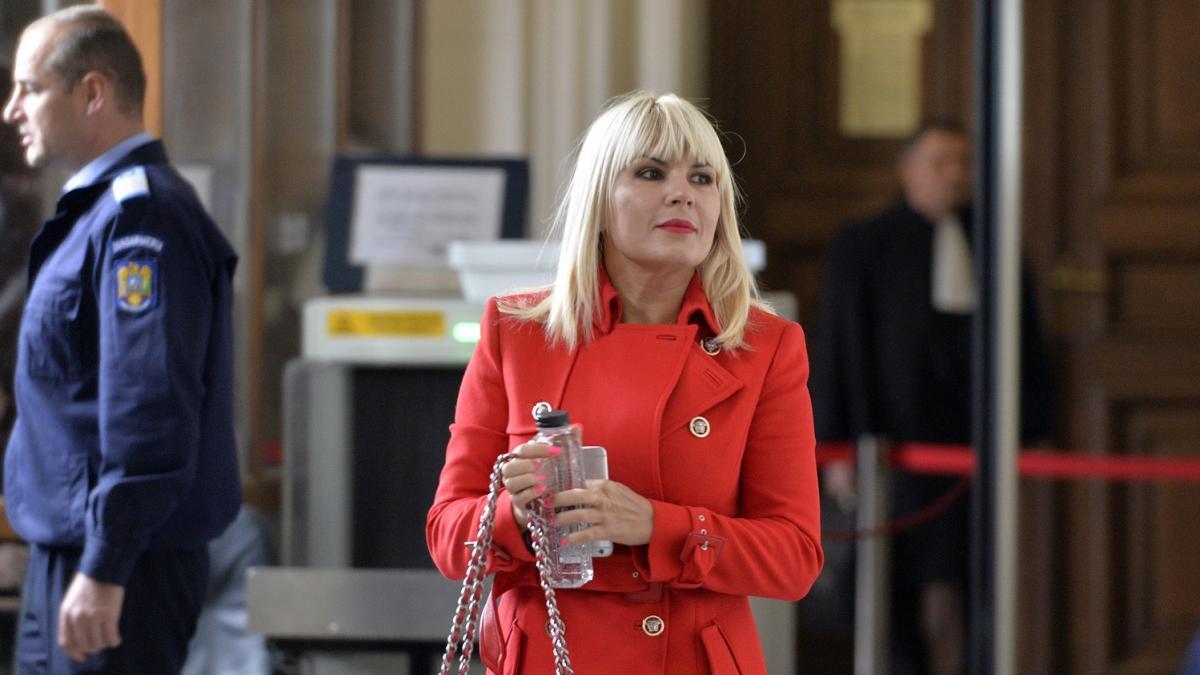 poza-de-pe-26-octombrie-2017-cu-elena-udrea