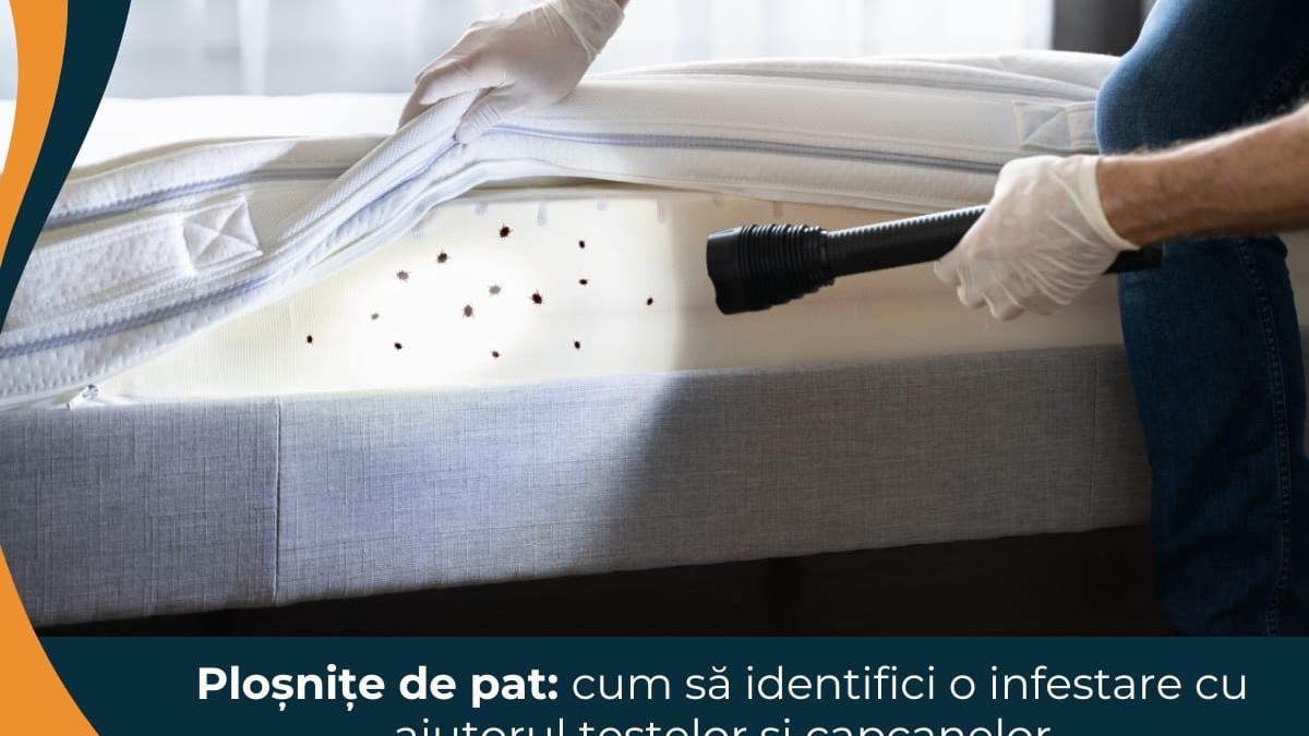 plosnite de pat cum sa identifici o infestare cu ajutorul testelor si capcanelor