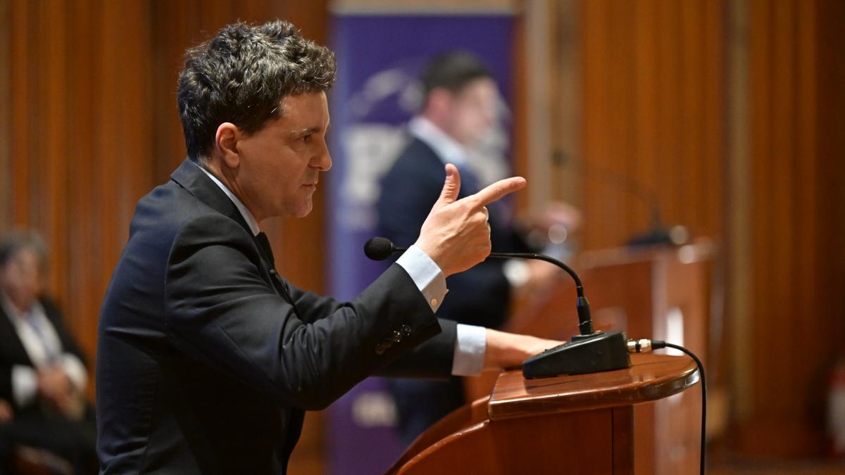 nicusor dan romania nu si permite sa vorbeasca despre alegeri anticipate sau despre calin georgescu prim ministru