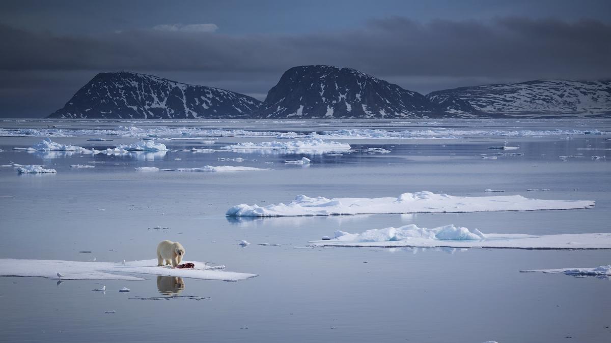 Nori artificiali și întărirea gheții: Marea Britanie investește în experimente de geoinginerie pentru răcirea planetei