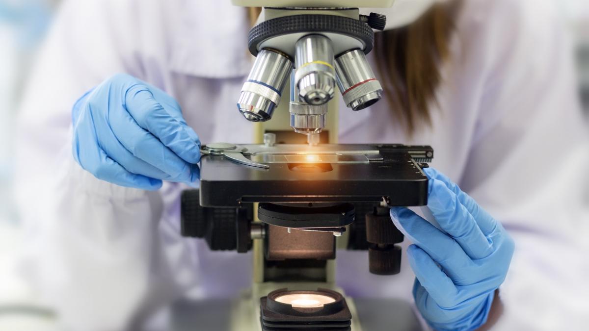 cercetatorii mesaj dupa alegerea lui nicusor dan investind in educatie si cercetare vom combate pseudostiinta