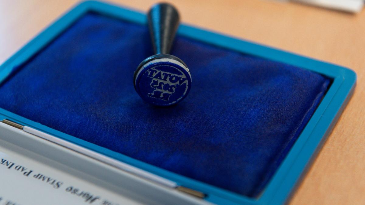 aep confirma ca alegerile s au desfasurat corect si acuza declaratiile lui george simion ca fiind complet false si nefondate