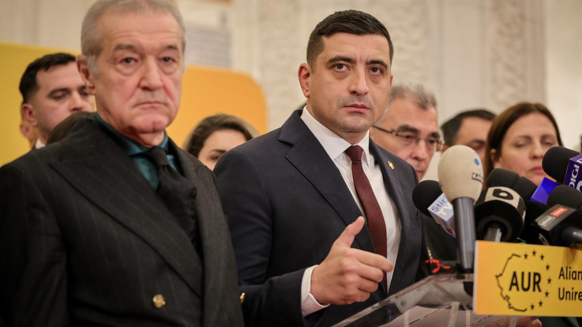 gigi becali george simion primeste ordine de la un general din cluj si o structura din viena