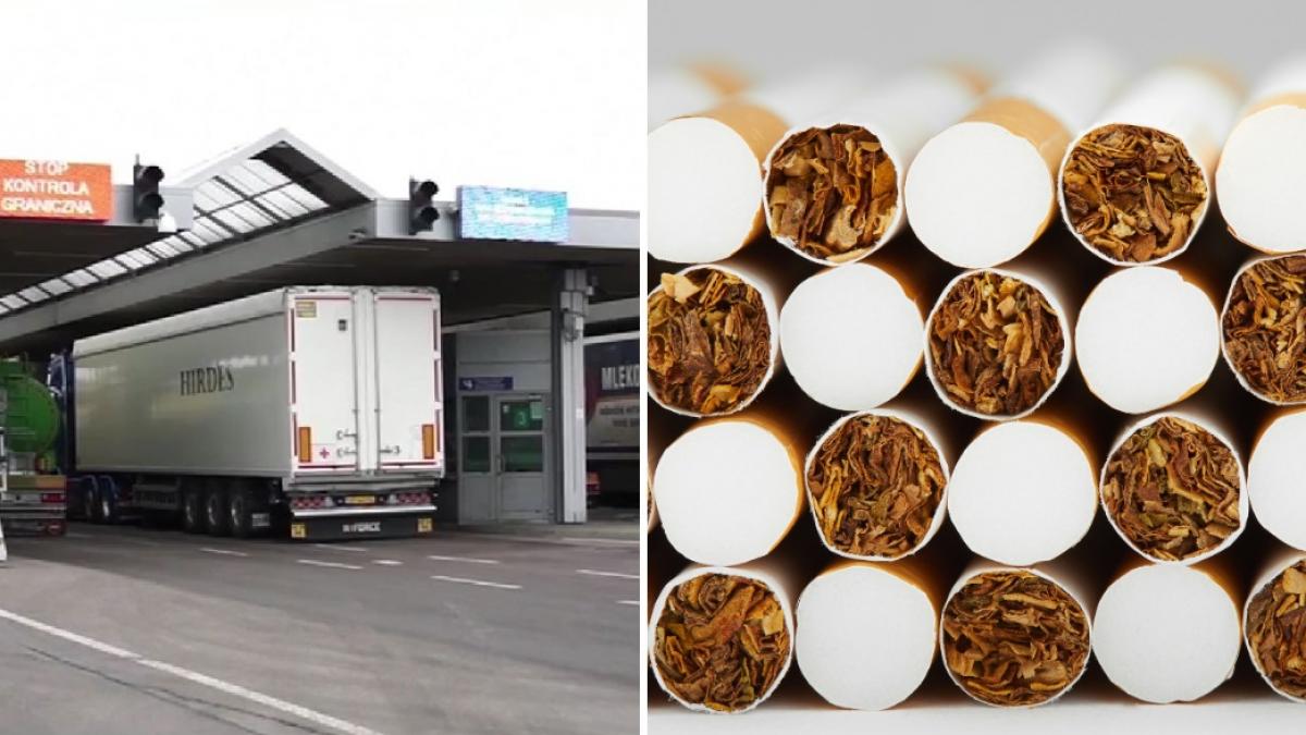 ungaria a destructurat cea mai mare retea de productie ilegala de tigari din toate timpurile 5 romani printre cei retinuti