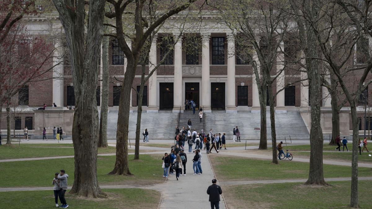 universitatea harvard