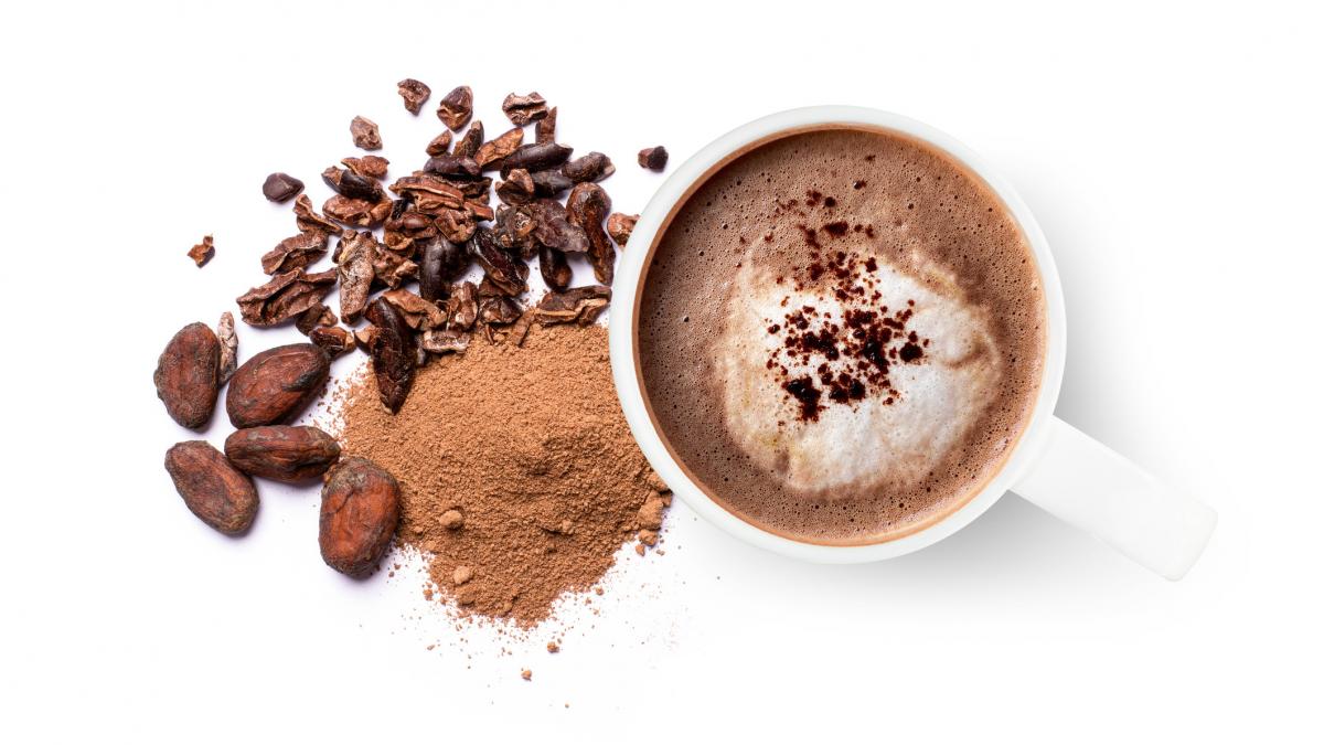 criza ciocolatei din ue cacaua ar putea deveni un produs pe cale de disparitie