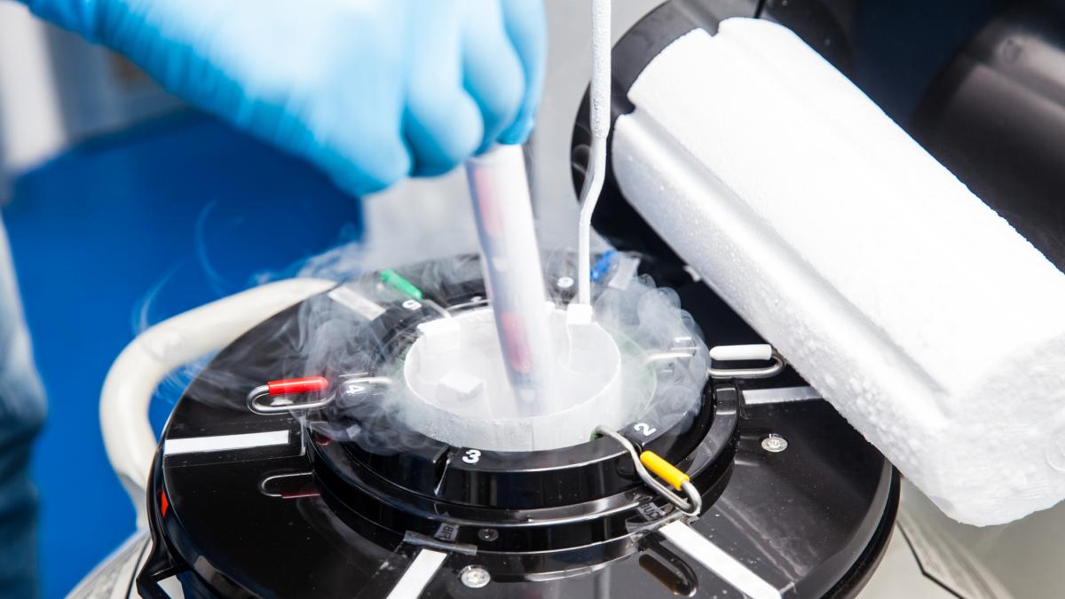Alertă în Europa: A fost descoperit un donator de spermă purtător de mutații predispuse la cancer. Cel puțin 67 de copii sunt vizați