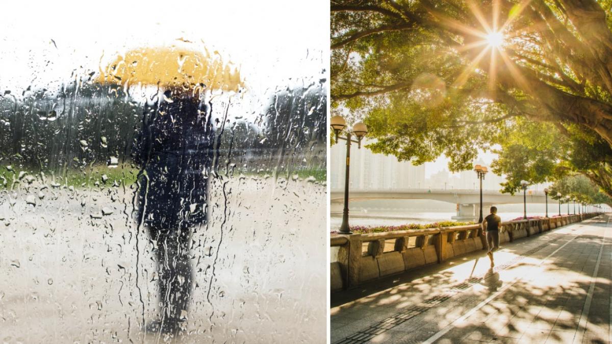 cand-scapam-de-frig-si-ploi