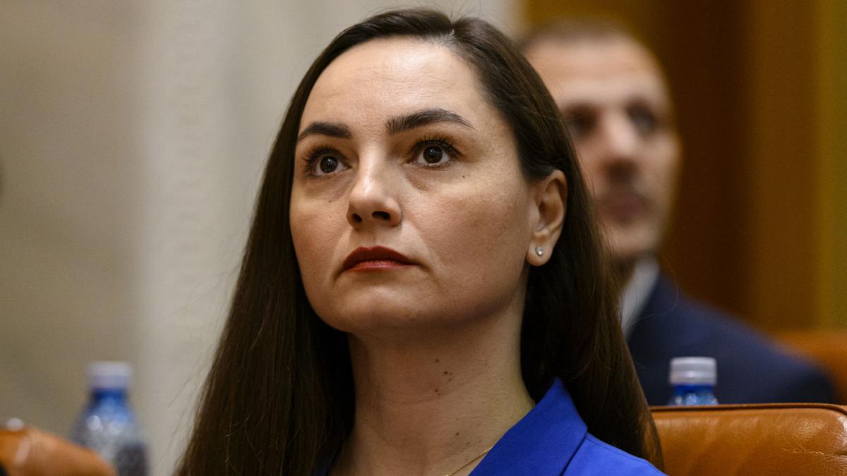 partidul anamariei gavrila nu mai are grup la senat pot a fost subordonat intereselor unui alt partid