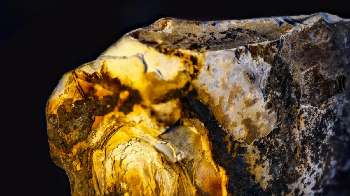 cum a fost descoperit depozitul supergigant de aur de inalta calitate estimat la 1 000 de tone si ce inseamna asta pentru viitor