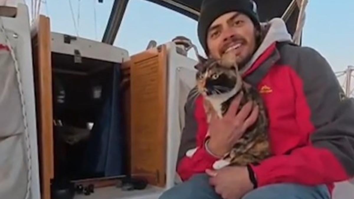 imi urasc locul de munca povestea unui corporatist american care si a dat demisia ca sa plece pe ocean cu pisica lui