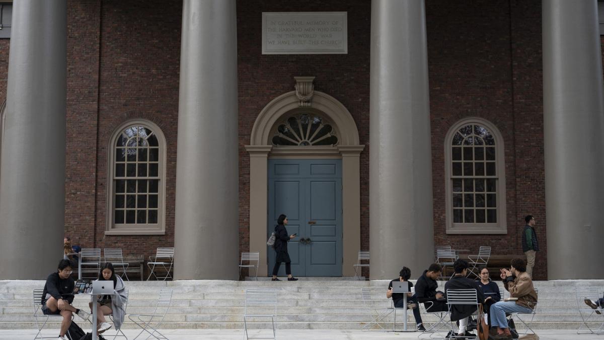 marturii ale studentilor romani de la harvard dupa ce trump ii vrea afara din universitate ne e teama pentru viitorul nostru