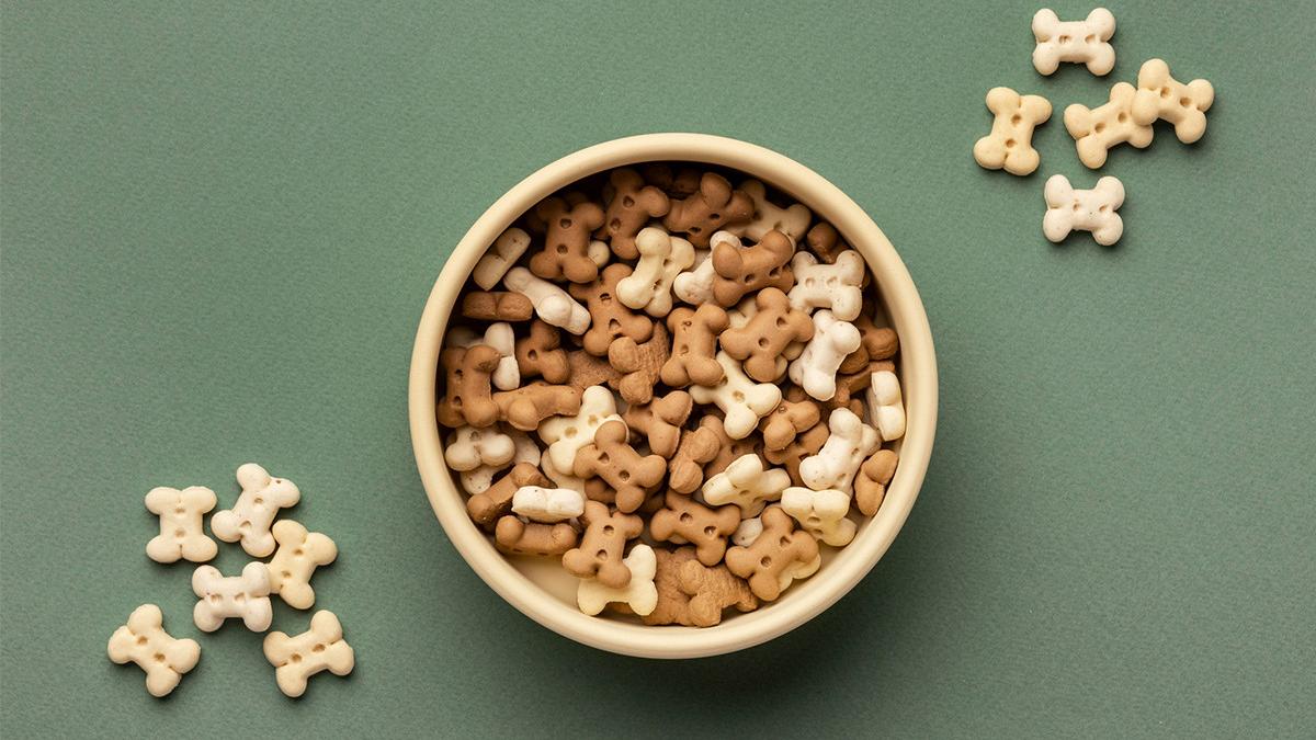 un animal de companie fericit inseamna o viata echilibrata