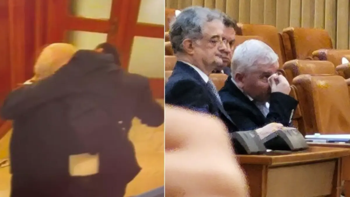 dan vilceanu a fost trimis in judecata pentru ca l a muscat si batut pe florin roman in parlament