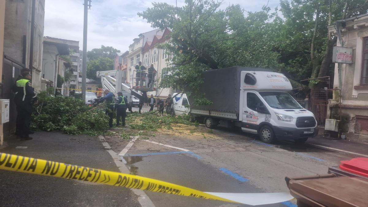 haos in centrul bucurestiului un copac a cazut pe o strada din sectorul 1 patru masini si o conducta de gaze avariate