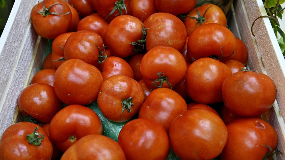 rosiile romanesti din piete sunt luate la control se fac teste pentru reziduri de pesticide