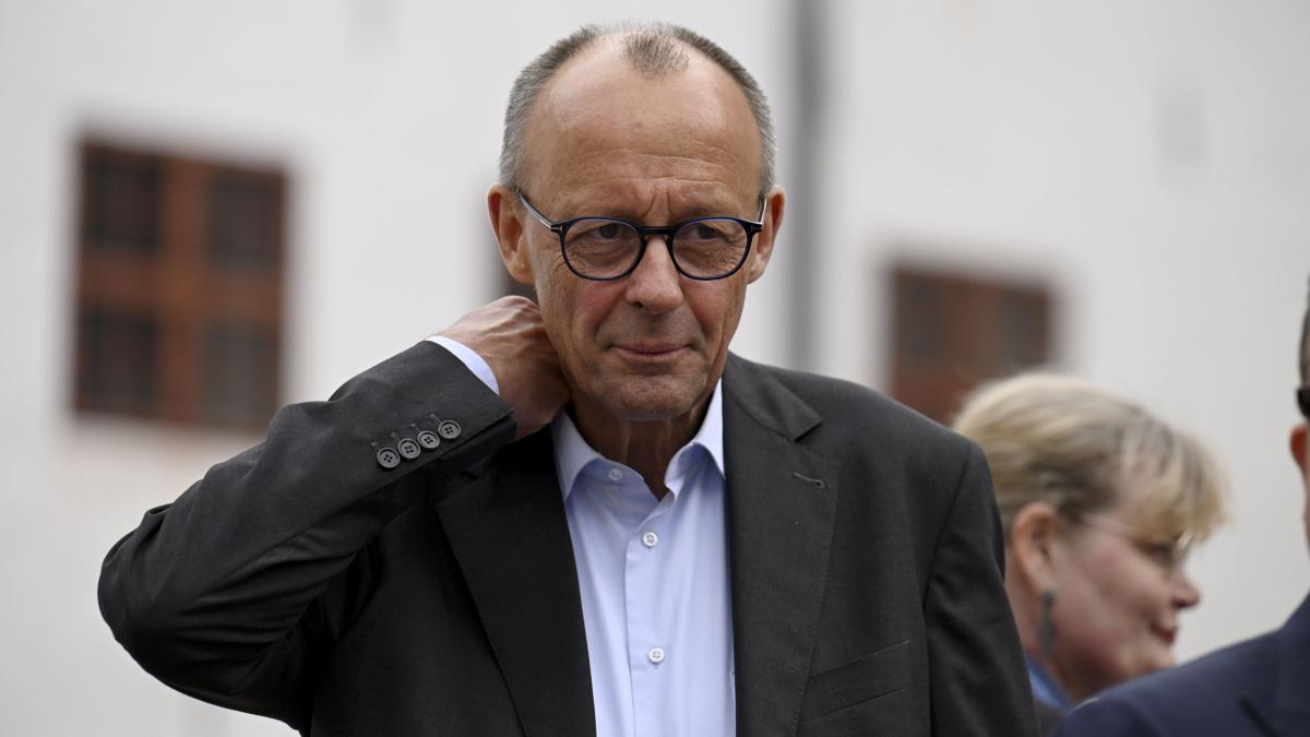 spune grozav la fiecare 2 3 cuvinte merz face dezvaluiri inedite despre discutiile sale telefonice cu trump