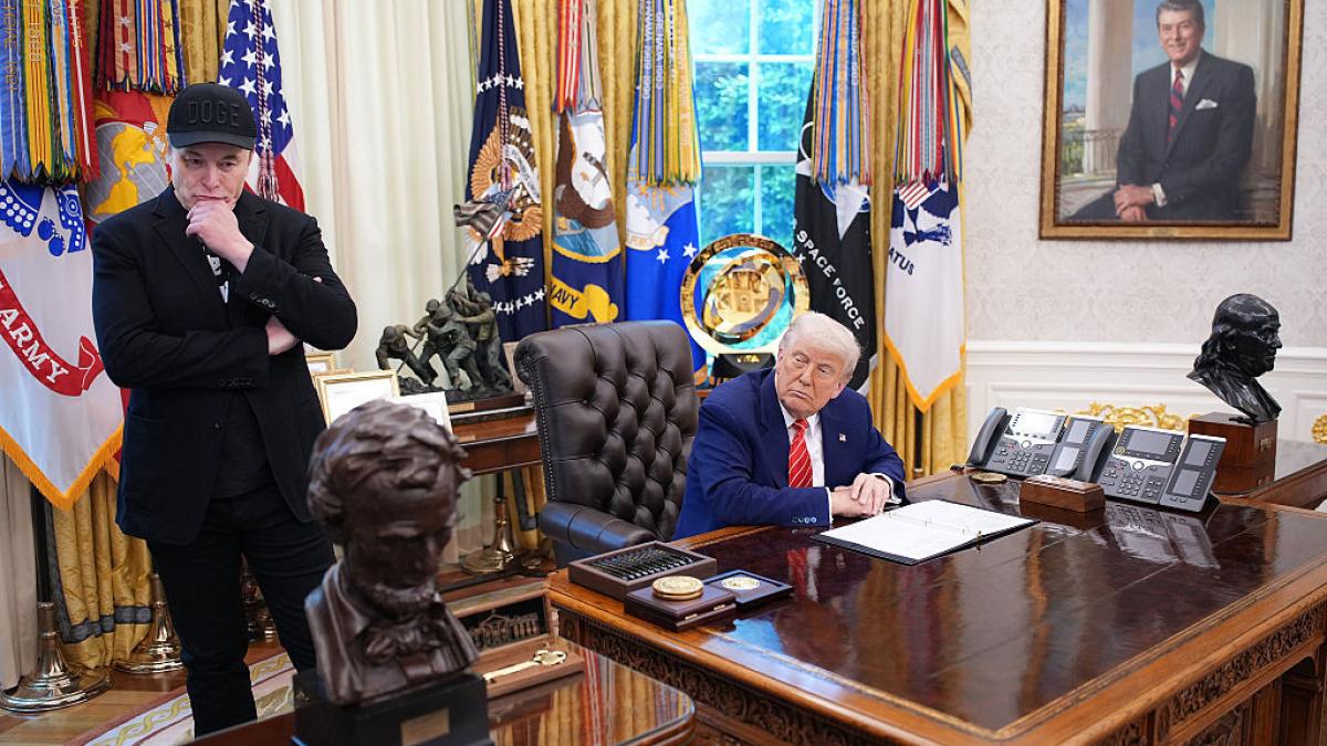 donald trump sustine ca musk a facut economie taind finantarea pentru soareci transgender de fapt e vorba de soareci transgenici