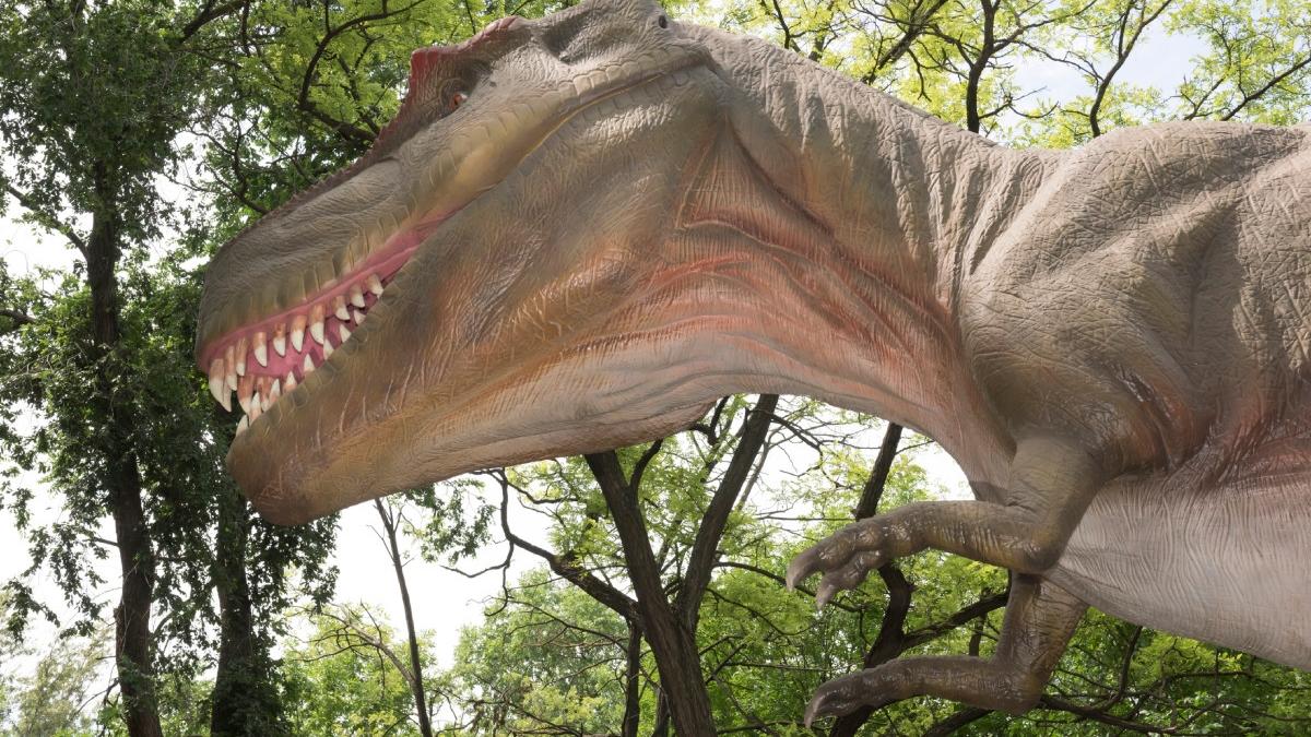 o tumora gasita intr un dinozaur care a trait acum 70 de milioane de ani unde este acum romania ar putea aduce leacul pentru cancer