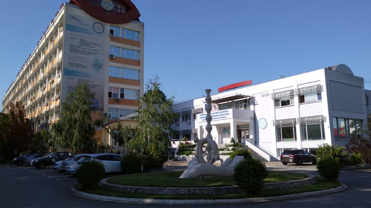 scoala doctorala a usv timisoara este o alegere excelenta pentru o cariera in educatie sau in cercetare