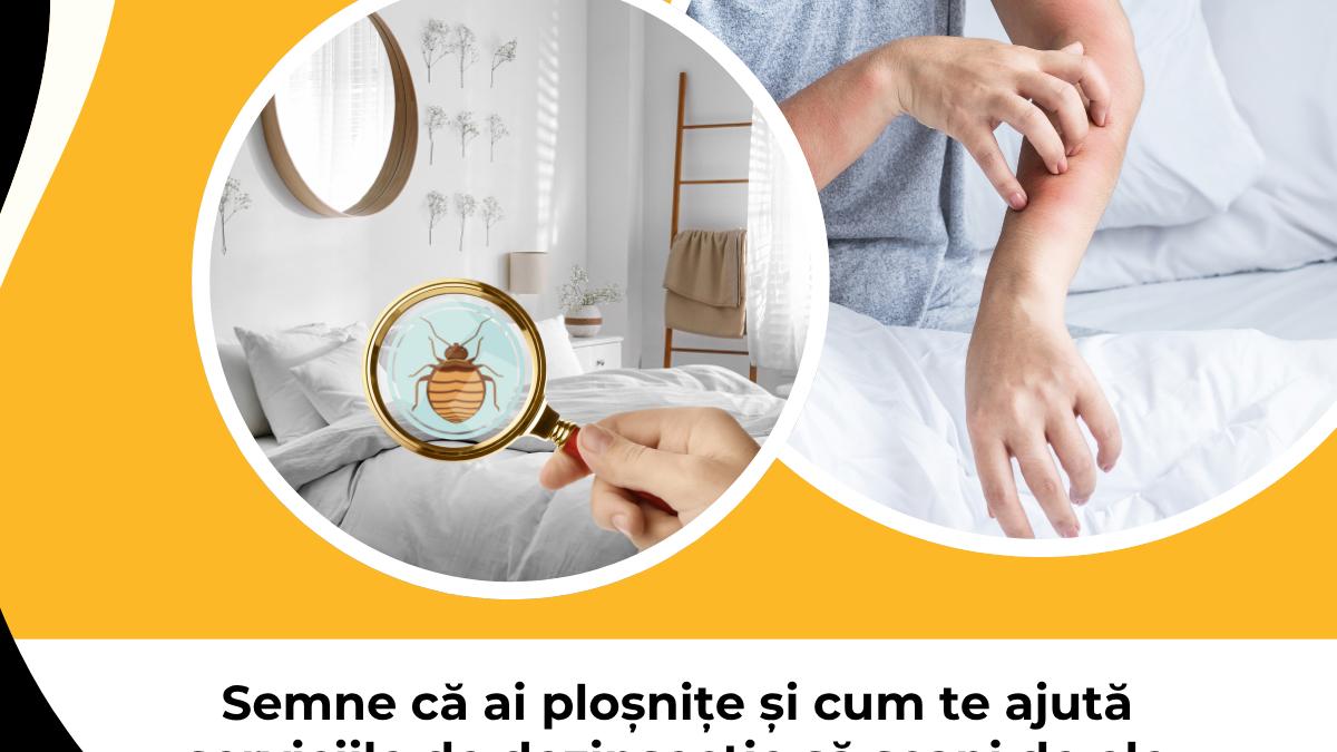 semne ca ai plosnite si cum te ajuta serviciile de dezinsectie sa scapi de ele