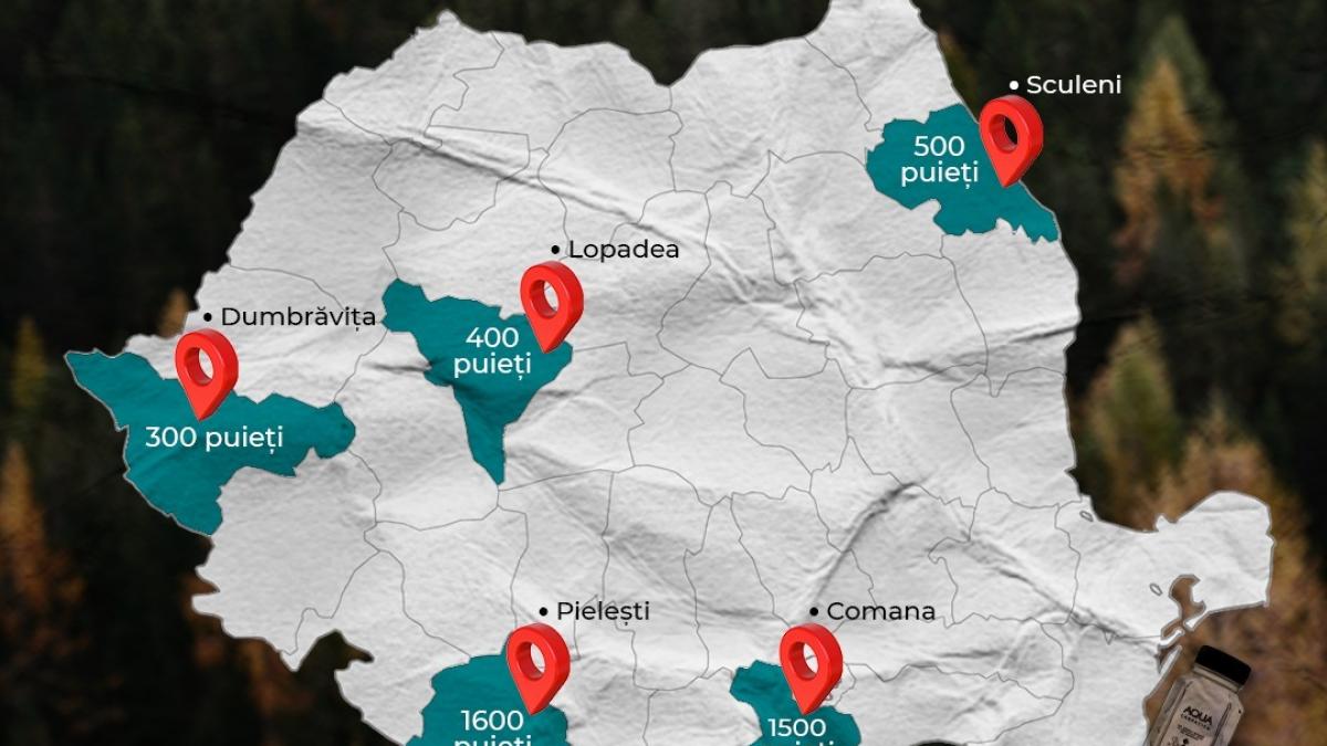 aqua carpatica si uniunea studentilor din romania studentii planteaza pentru un viitor mai verde