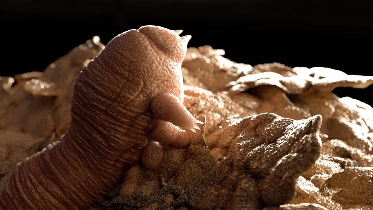 bal mascat la microscop cum isi fac de cap acarienii pe fata ta in timp ce dormi