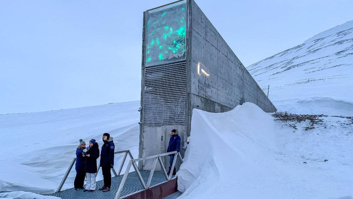 seiful apocalipsei din svalbard aici se pastreaza la 100 de metri sub munte viitorul omenirii