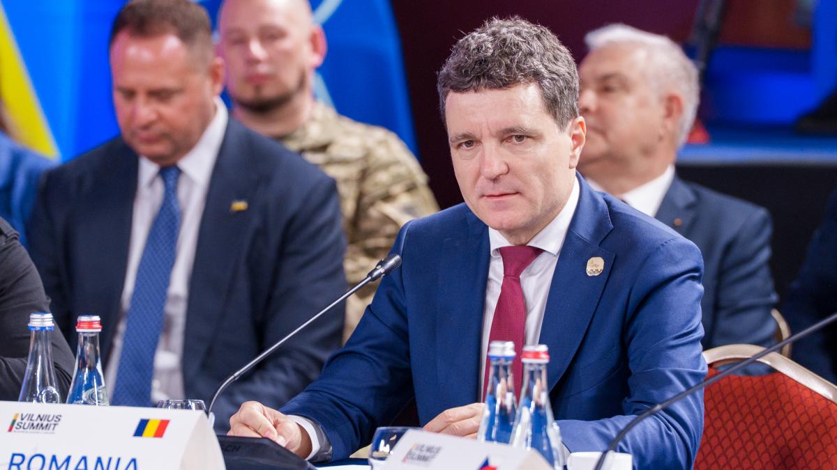 nicusor dan voi desemna un premier cand o sa stiu ca va exista sustinere in parlament un termen realist de doua saptamani