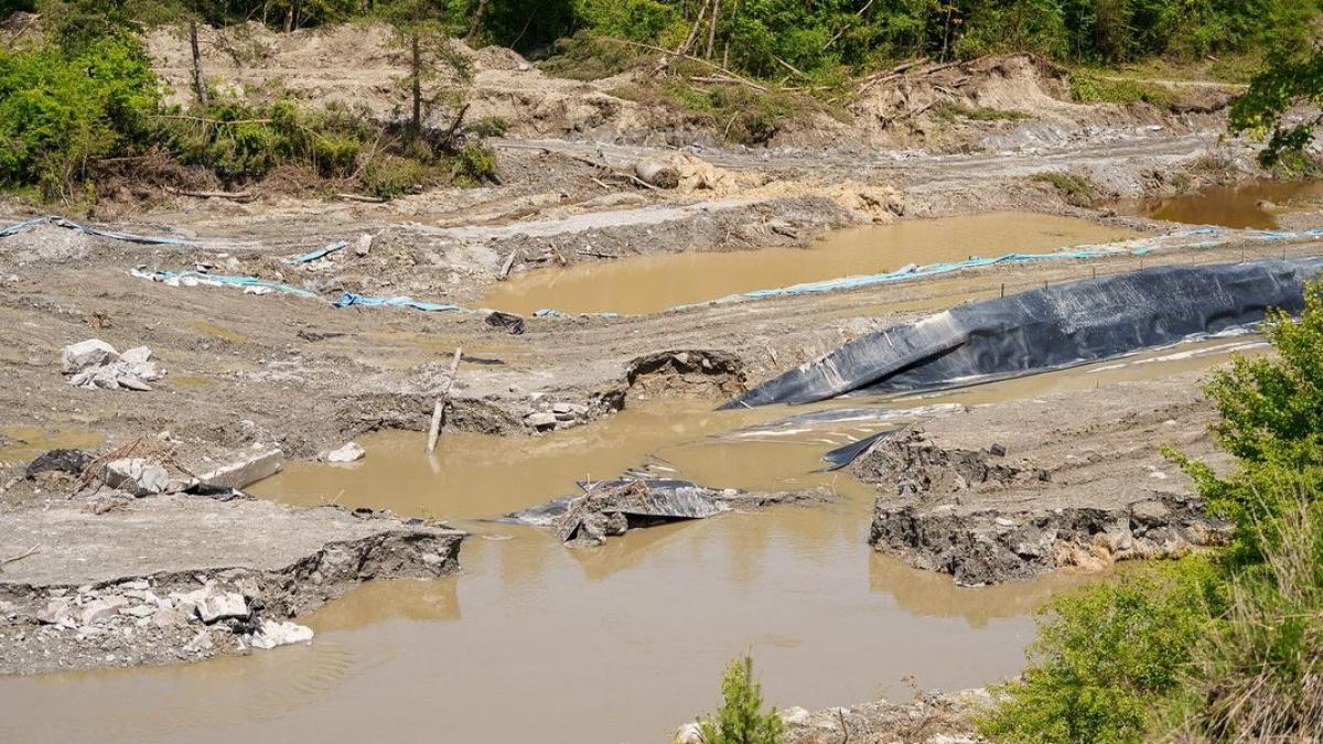 fechet concentratia de sare din raul tarnava mica e de zece ori mai mare decat ar trebui la 2 grame deja e dezastru ecologic