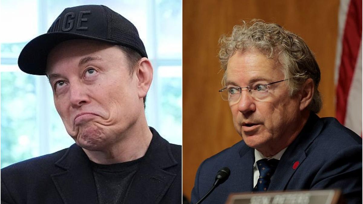 elon musk ii declara razboi lui donald trump s a aliat cu un senator republican a bloca abominatia dezgustatoare a presedintelui sua