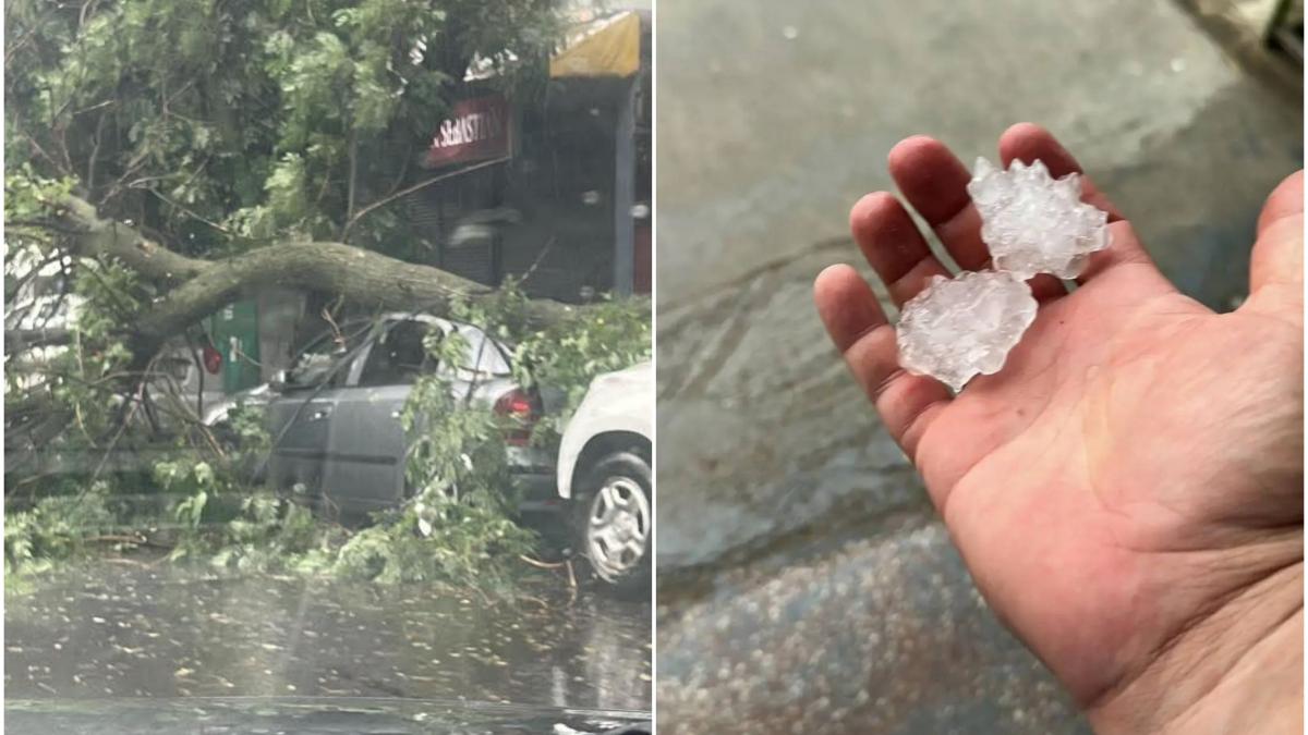 ploile torentiale si grindina au facut prapad in tara strazi inundate si copaci pusi la pamant in bucuresti dezastrul de dupa furtuna