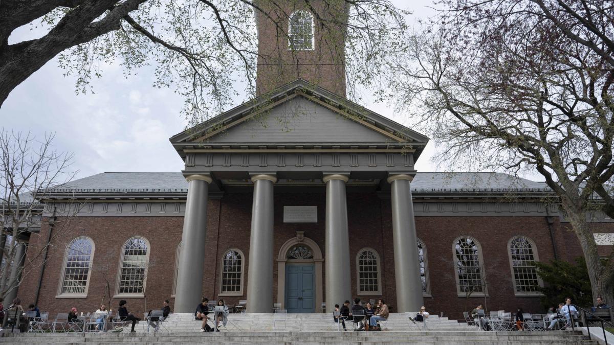 universitatea harvard