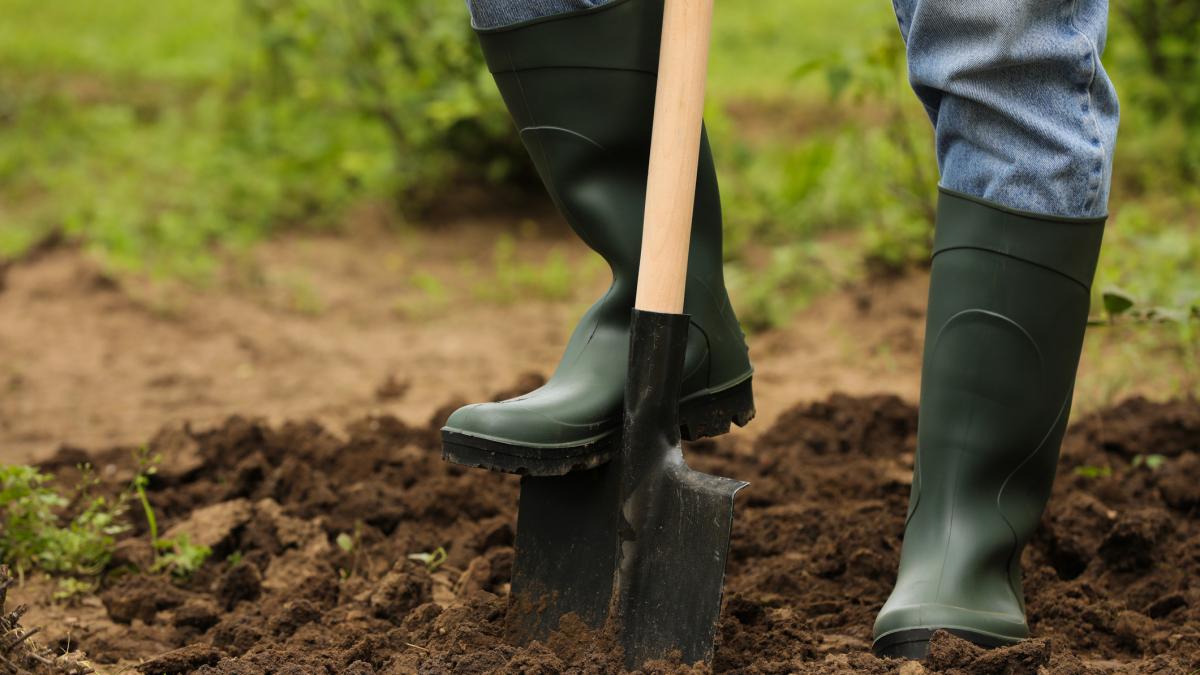 un barbat care s a dus sa si sape gradina a descoperit o comoara de 4 miliarde e nu se astepta la ceea ce a urmat