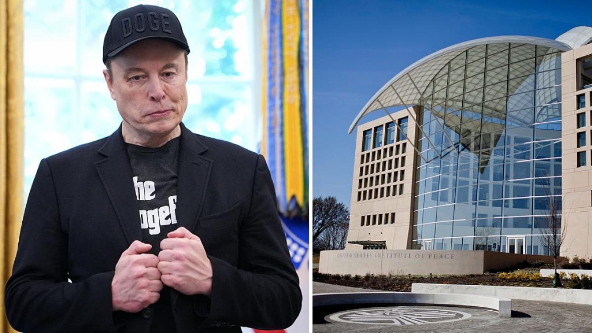 elon musk si oamenii lui acuzati ca au lasat resturi de marijuana sobolani si gandaci in birourile de la usip