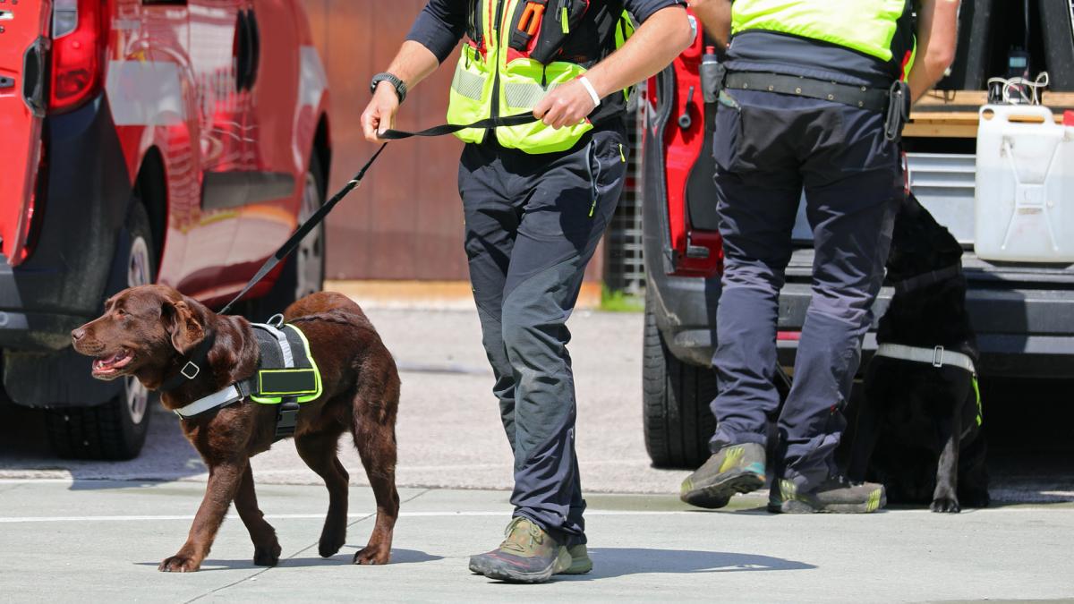 la un magazin cu specific romanesc din italia se vindeau droguri carabinierii au vazut ca intrau clienti care ieseau cu mainile goale
