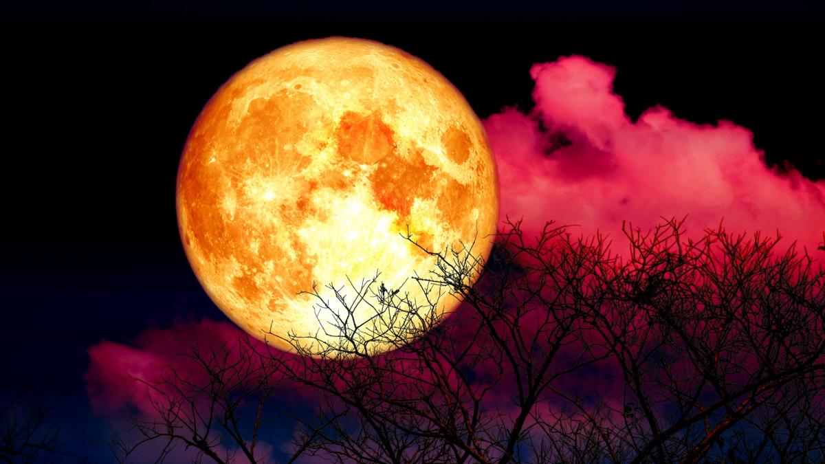 luna plina din iunie un record al ultimelor decenii cea mai joasa aparitie pe cer intr un spectacol ceresc rar