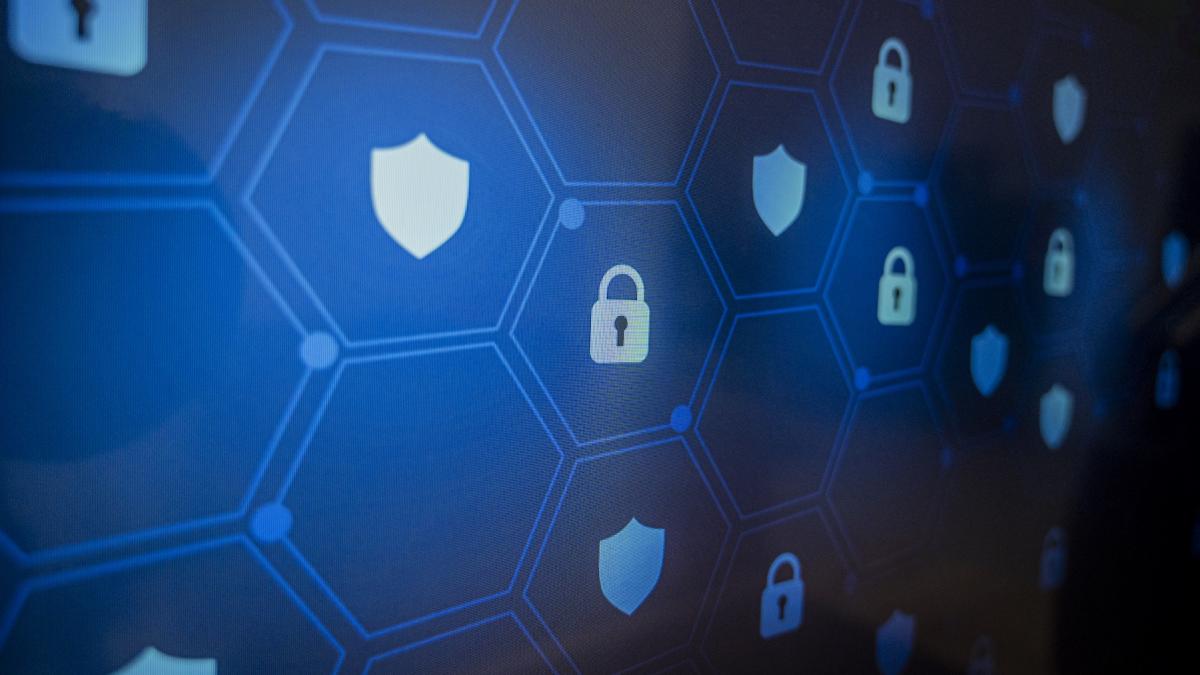 siguranta cibernetica esentiala pentru viitorul si eficienta imm urilor