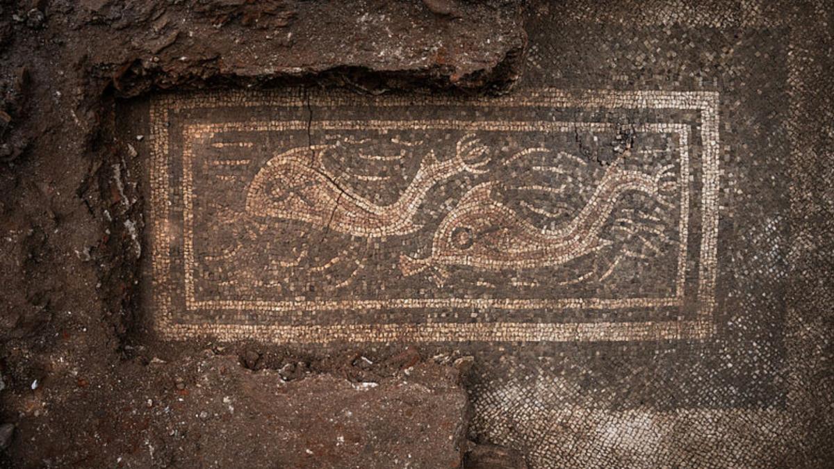 descoperire arheologica unica in austria trei mozaicuri romane antice spectaculoase au fost gasite dupa doi ani de sapaturi