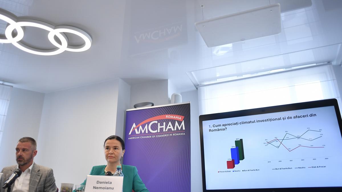 camera de comert romano americana romania nu mai are luxul de a amana deciziile dificile si de a tergiversa asumarea unor politici
