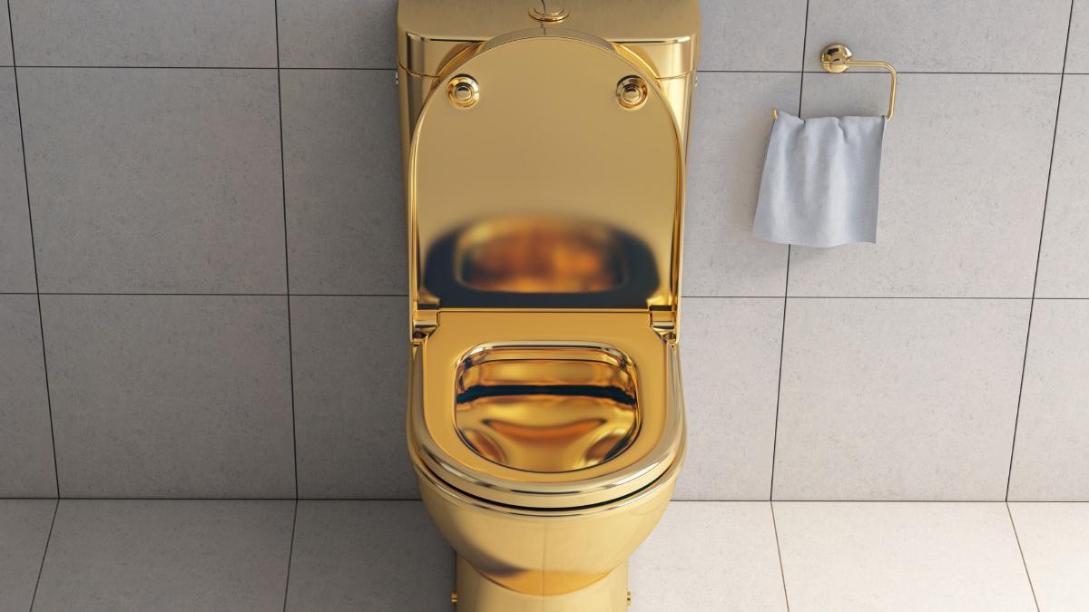 doi barbati au fost condamnati la inchisoare in marea britanie dupa ce au furat un vas de toaleta din aur de 18 carate