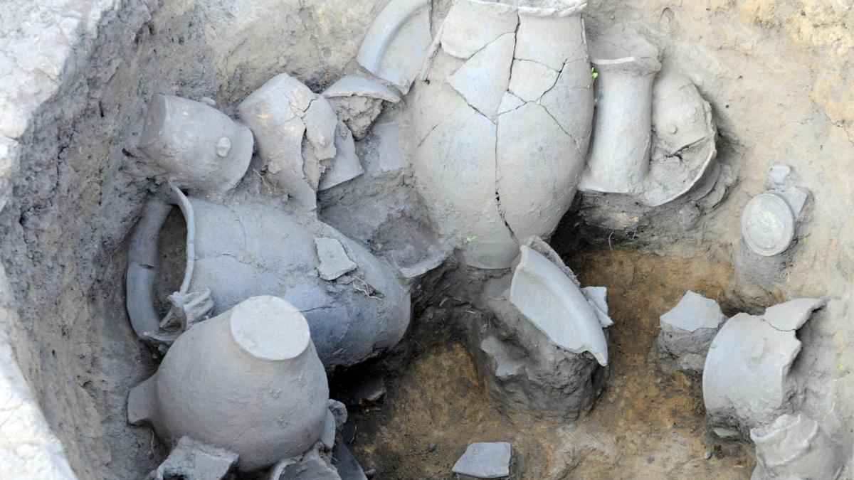 santierul arheologic al cetatii dacice de la tarcov ar putea fi inchis nu se mai gasesc persoane care sa ajute la sapaturi