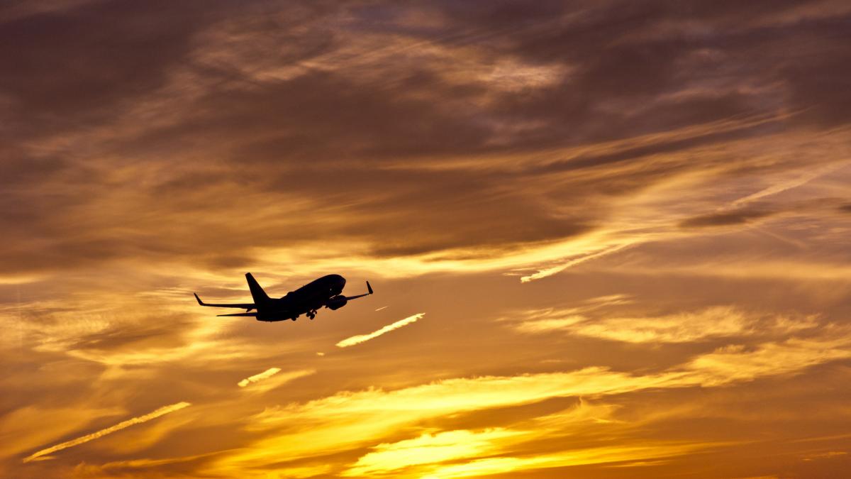 wizz air a suspendat toate zborurile spre israel si iordania pana in septembrie din cauza situatiei din orientul mijlociu