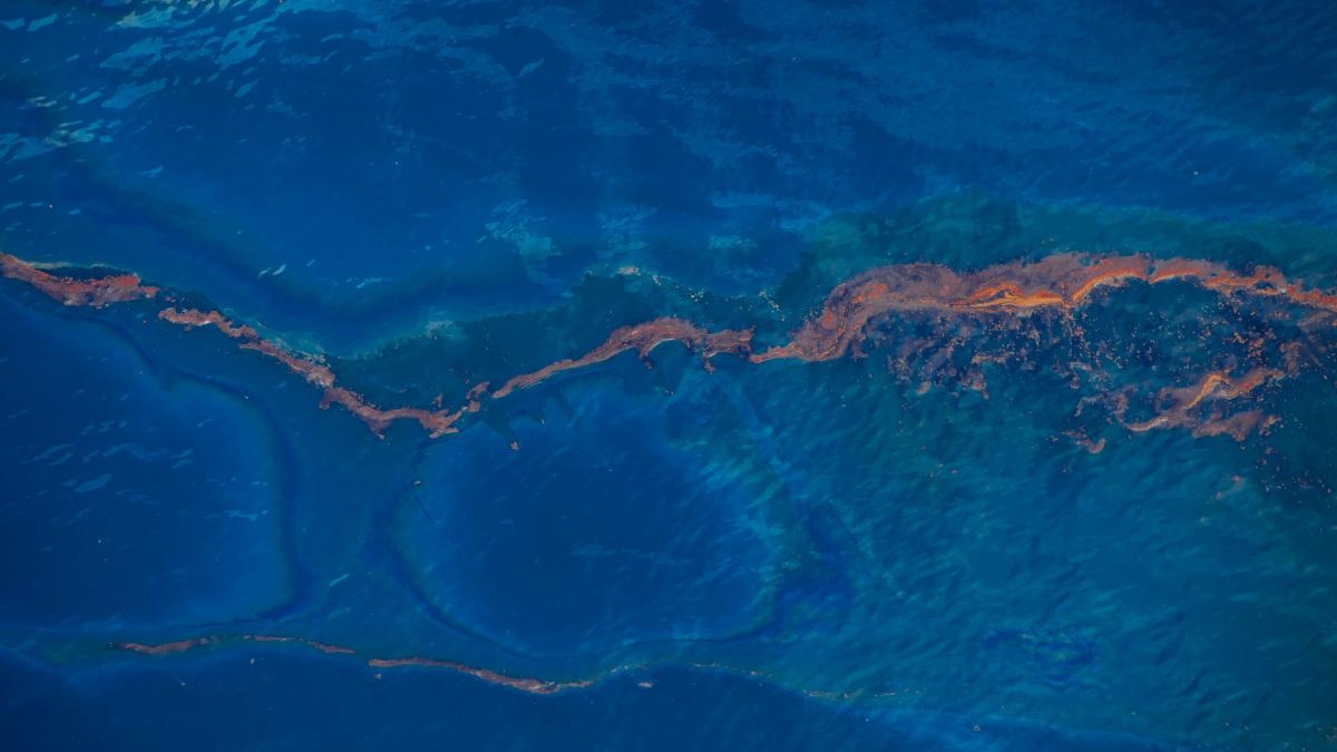 bomba ecologica in marea baltica 1 6 milioane de tone de munitie si arme chimice ruginesc in adancuri pestii au fost deja contaminati