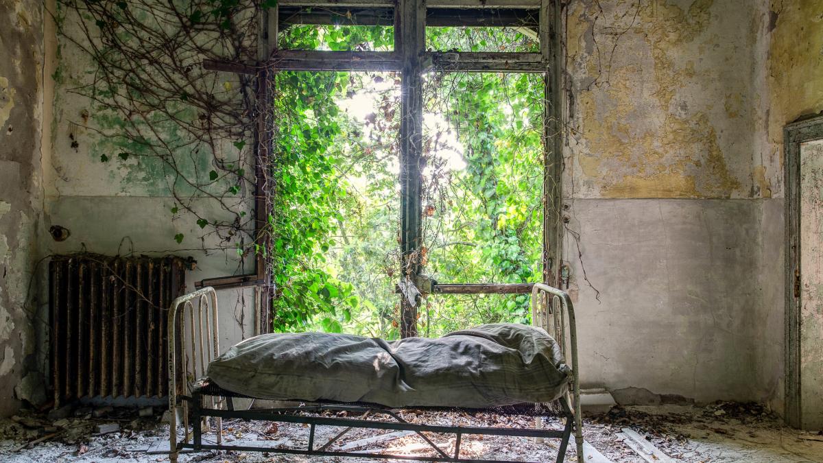 in interiorul celei mai infricosatoare insule din lume unde turistilor le este interzis sa paseasca